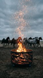 Очаг костровой с искрогасительной сеткой "Лоси" 600 мм — изображение 7